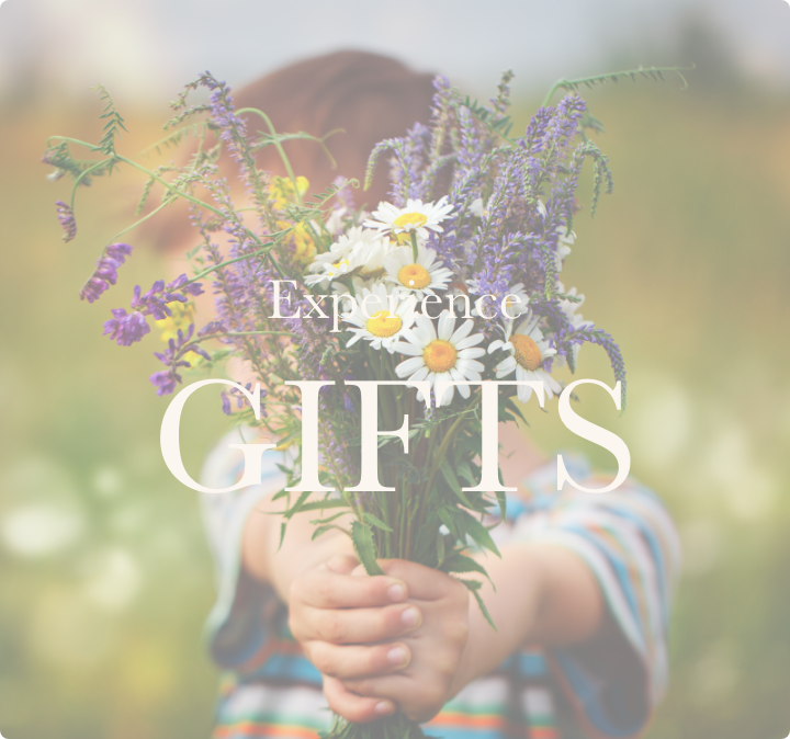 Experience Gifts at The Avenue and family attraction midlands